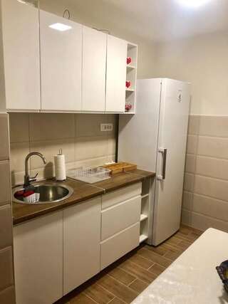 Апартаменты T-A APARTMENT Риека-Црноевича Апартаменты с террасой-59